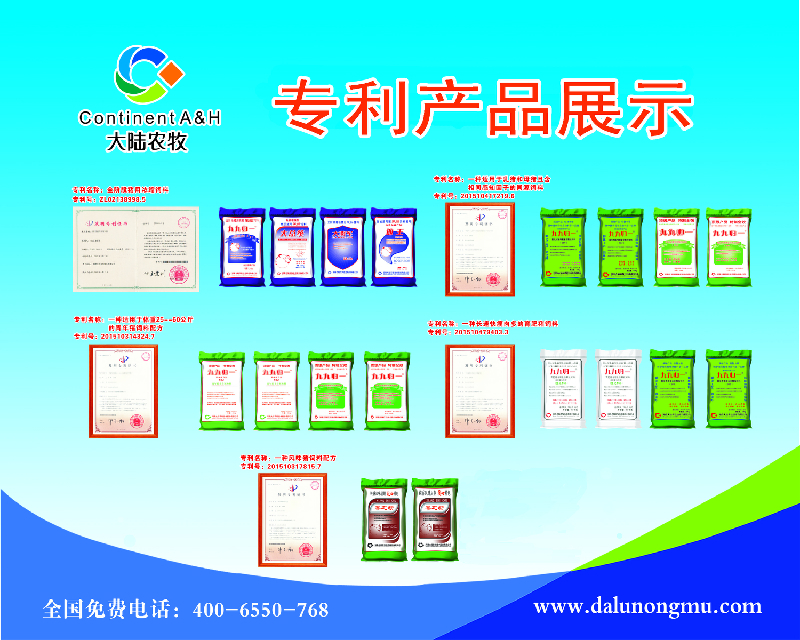 证书=.jpg