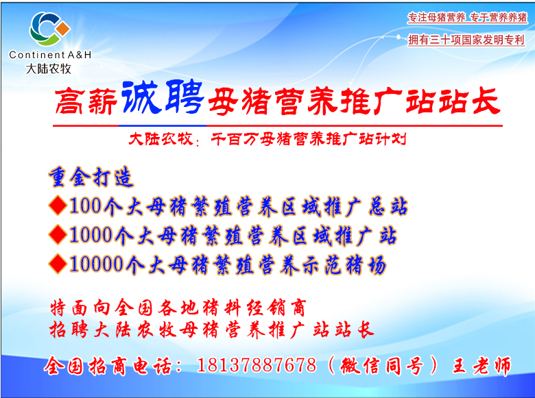 站长招聘.jpg