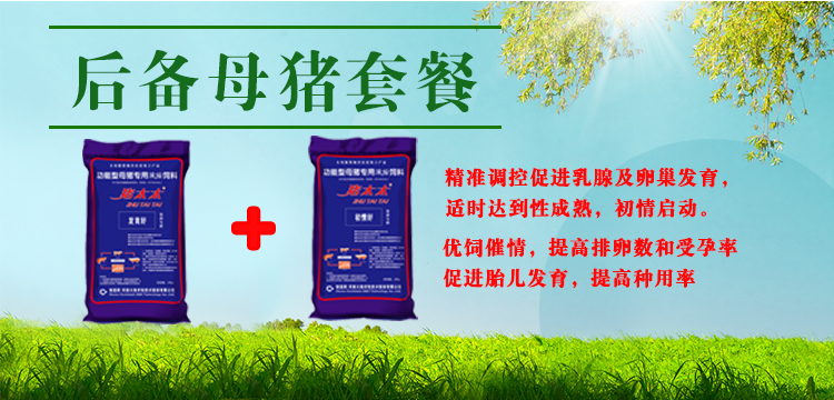 后备母猪套餐.jpg